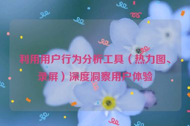 利用用户行为分析工具（热力图、录屏）深度洞察用户体验