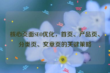 核心页面SEO优化，首页、产品页、分类页、文章页的关键策略