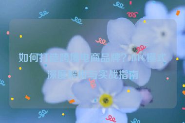 如何打造跨境电商品牌？DTC模式深度解析与实战指南