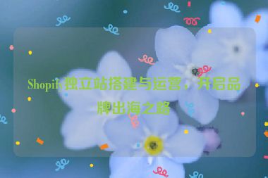 Shopify独立站搭建与运营，开启品牌出海之路