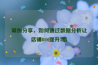 案例分享，如何通过数据分析让店铺ROI提升3倍