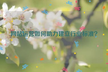 网站运营如何助力建立行业标准？