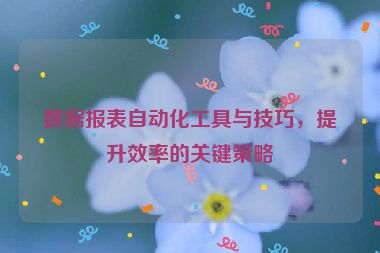 数据报表自动化工具与技巧，提升效率的关键策略