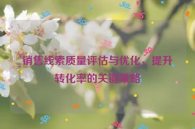 销售线索质量评估与优化，提升转化率的关键策略