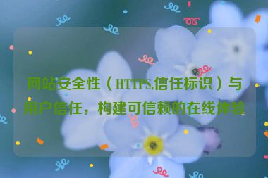 网站安全性（HTTPS,信任标识）与用户信任，构建可信赖的在线体验