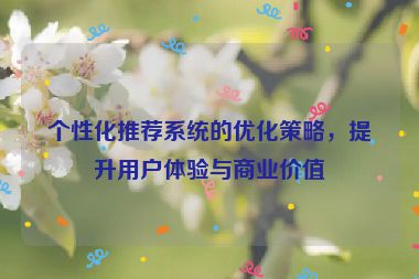 个性化推荐系统的优化策略，提升用户体验与商业价值