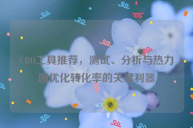 CRO工具推荐，测试、分析与热力图优化转化率的关键利器