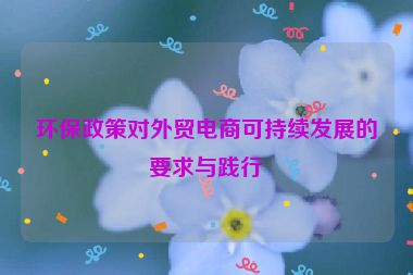 环保政策对外贸电商可持续发展的要求与践行