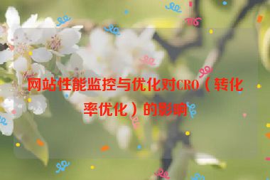 网站性能监控与优化对CRO（转化率优化）的影响