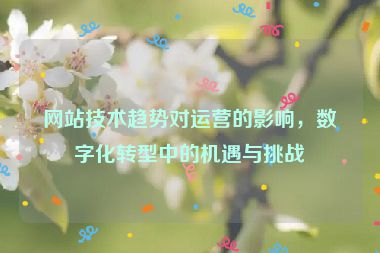 网站技术趋势对运营的影响，数字化转型中的机遇与挑战