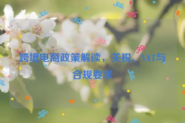 跨境电商政策解读，关税、VAT与合规要求