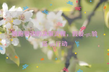 数据驱动的决策流程，假设-gt;验证-gt;行动