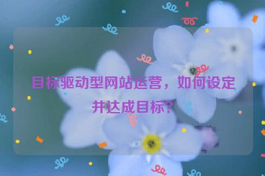 目标驱动型网站运营，如何设定并达成目标？
