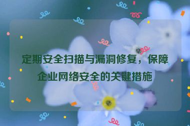 定期安全扫描与漏洞修复，保障企业网络安全的关键措施