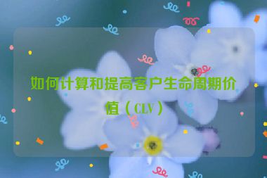 如何计算和提高客户生命周期价值（CLV）