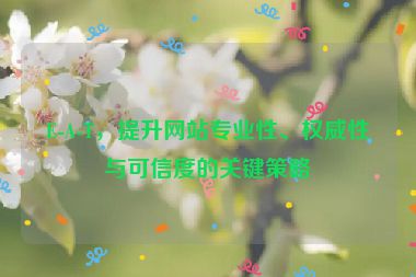 E-A-T，提升网站专业性、权威性与可信度的关键策略