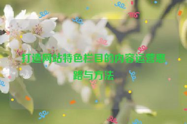 打造网站特色栏目的内容运营思路与方法