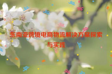 东南亚跨境电商物流解决方案探索与实践