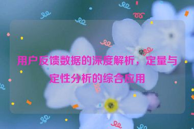用户反馈数据的深度解析，定量与定性分析的综合应用