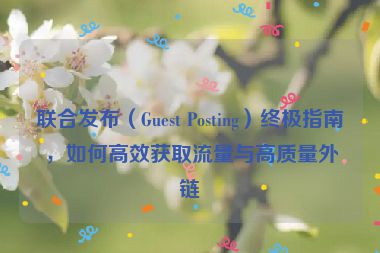联合发布（Guest Posting）终极指南，如何高效获取流量与高质量外链