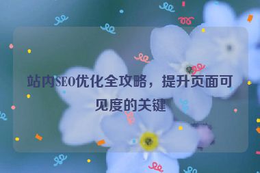 站内SEO优化全攻略，提升页面可见度的关键