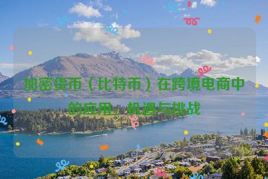 加密货币（比特币）在跨境电商中的应用，机遇与挑战