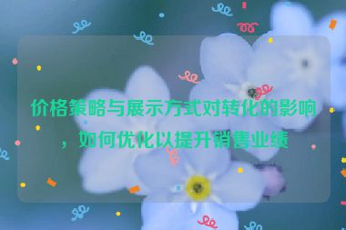 价格策略与展示方式对转化的影响，如何优化以提升销售业绩
