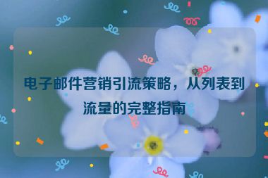 电子邮件营销引流策略，从列表到流量的完整指南