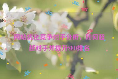 网站优化竞争对手分析，如何超越对手并提升SEO排名