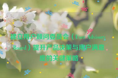 建立用户顾问委员会（User Advisory Board）提升产品决策与用户满意度的关键策略