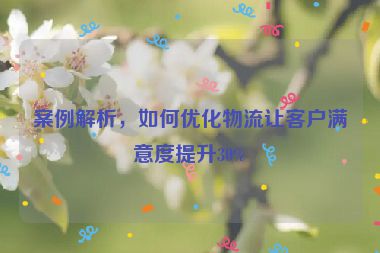 案例解析，如何优化物流让客户满意度提升30%