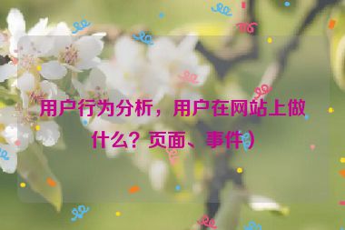用户行为分析，用户在网站上做什么？页面、事件）