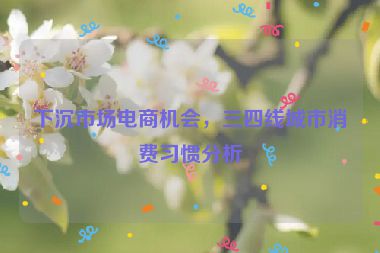 下沉市场电商机会，三四线城市消费习惯分析