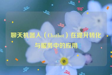 聊天机器人（Chatbot）在提升转化与服务中的应用