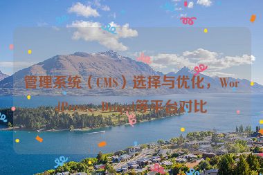 管理系统（CMS）选择与优化，WordPress、Drupal等平台对比