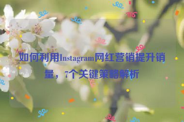 如何利用Instagram网红营销提升销量，7个关键策略解析