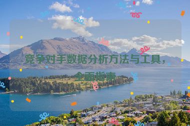 竞争对手数据分析方法与工具，全面指南