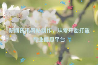 新闻资讯网站制作，从零开始打造专业信息平台