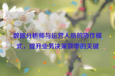 数据分析师与运营人员的协作模式，提升业务决策效率的关键