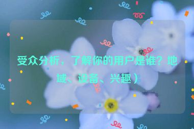 受众分析，了解你的用户是谁？地域、设备、兴趣）