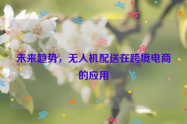 未来趋势，无人机配送在跨境电商的应用