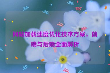 网站加载速度优化技术方案，前端与后端全面解析