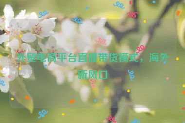 外贸电商平台直播带货模式，海外新风口