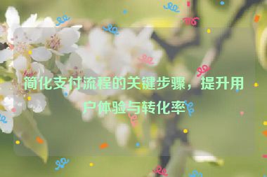 简化支付流程的关键步骤，提升用户体验与转化率