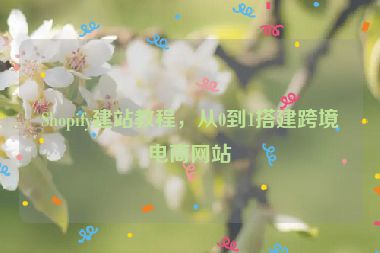 Shopify建站教程，从0到1搭建跨境电商网站