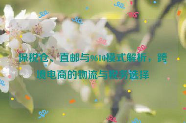 保税仓、直邮与9610模式解析，跨境电商的物流与税务选择