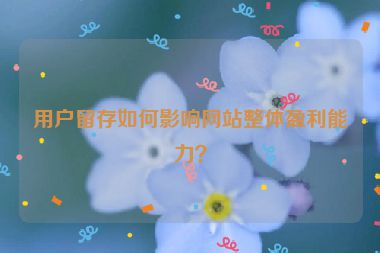 用户留存如何影响网站整体盈利能力？