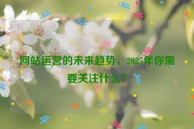网站运营的未来趋势，2025年你需要关注什么？