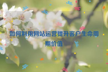 如何利用网站运营提升客户生命周期价值