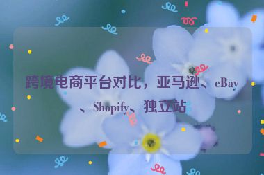 跨境电商平台对比，亚马逊、eBay、Shopify、独立站